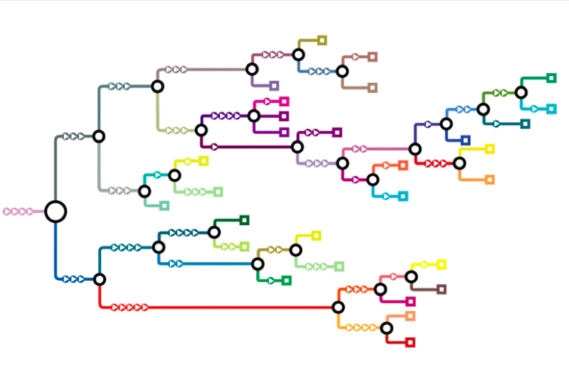 Multi-colored decision tree